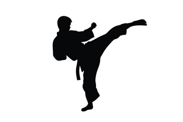 Silhouette shows martial artist powerfully kicking outward with dynamic energy burst in a stylized pose