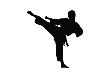 Silhouette of a martial artist gracefully executes a high kick with remarkable power