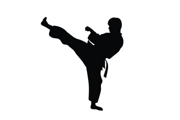 Silhouette of a girl in martial arts uniform practicing a kick with dynamic pose