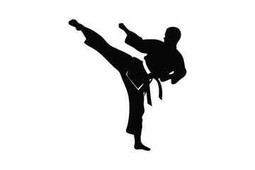 Silhouette martial artist executes a high kick, demonstrating powerful self defense in art
