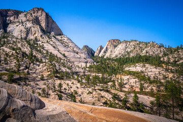 Fototapeta premium hiking in zion national park in utah, usa