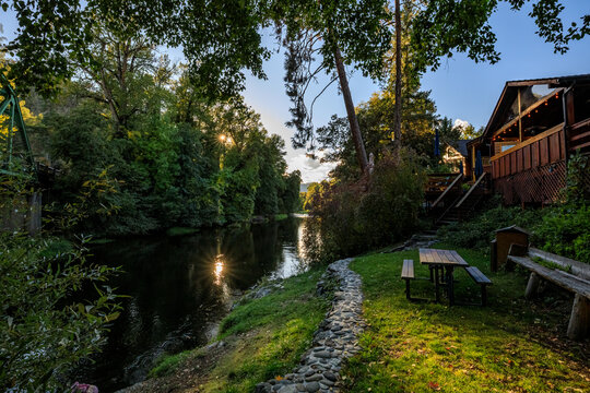 Serene Riverside Park Scene with Person Overlooking Tranquil Stream