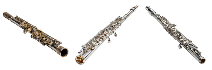 Obraz premium Set of A professional piccolo instrument on transparent png background. Ai generated