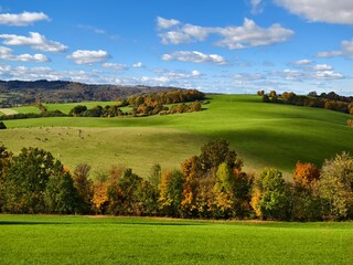 Autumn hilly landscape with fields and pastures