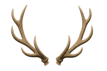 Fototapeta premium Deer antlers displaying natural texture, a symbol of wildlife, hunting, and strength, on transparent background