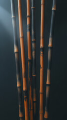 Dramatic Black and Orange Bamboo Stalks in a Moody Setting, an Atmospheric Zen Background with a Soft Spotlight, Symbolizing Tranquility, Nature, and Minimalist Oriental Decor.