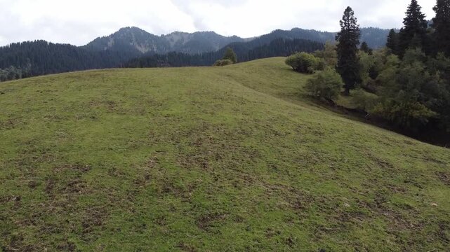 drone shot of landscape with mountains and forest in xinjiang, china