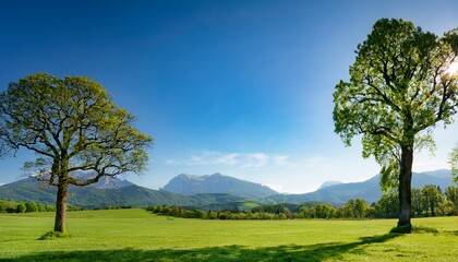 Fototapeta premium A Serene Landscape Featuring Two Large Trees Framing A Vibrant Meadow With Distant Mountains Under A Clear Blue Sky Ideal For Nature Themed Projects And Relaxation Imagery