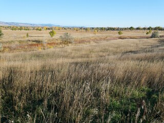 Vast Autumn Prairie under Clear Blue Sky at Buffalo Ranch Cross Country Course, Boulder, Colorado