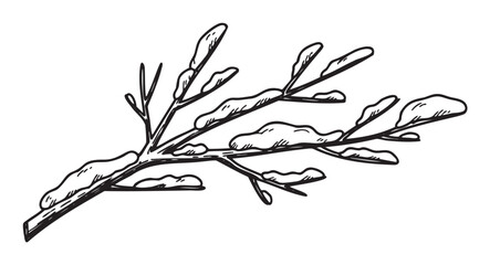 Fototapeta premium Black and white line drawing of a tree branch covered in snow, showcasing the delicate structure of the twigs and leaves.