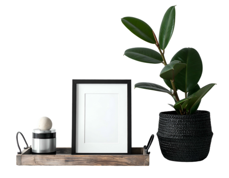 Still life composition with an empty frame, plant, and decorative objects