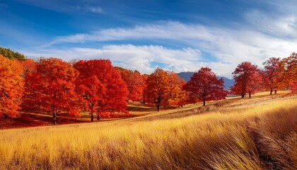 Naklejka premium Vibrant Autumn Landscape With Red Trees And Yellow Grass