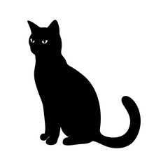 black cat on white background