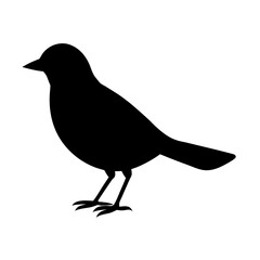 vector illustration of a crow