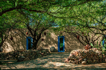 Tree branches form a canopy over the Spanish style front garden
