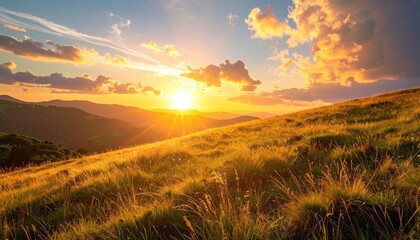 Golden Hour Sunset Over Rolling Hills Covered in Wildflowers With Sunbeams Breaking Through Dramatic Clouds