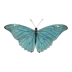 Obraz premium Elegant blue butterfly with delicate details for captivating design projects and nature-inspired artwork, perfect for adding a touch of beauty