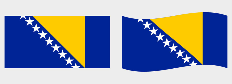 Bosnia and Herzegovina flag wave and flat vector Illustration
Vector flag
