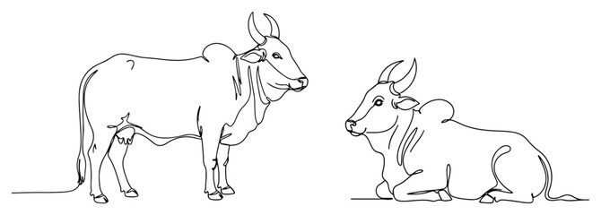 Two sacred Indian Zebu cows. Holy animals of India in a continuous one line drawing style. Minimalist vector illustration.