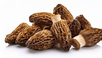 Obraz premium Tow Dried Morel Mushrooms Isolated On White Background