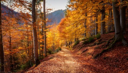 Obraz premium Deserted Trail Through A Deciduous Forest In The Mountains In Autumn