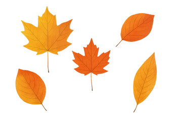 Naklejka premium Autumn leaves falling, isolated on transparent background. Vibrant maple and generic leaf shapes for seasonal design