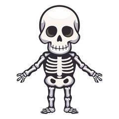 human skeleton vector object