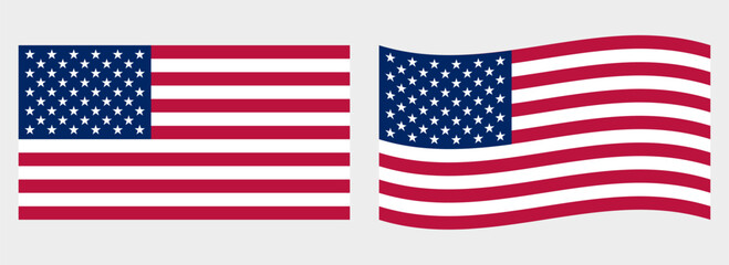 USA flag wave and flat vector Illustration Vector flag © Roman