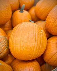 Can you imaging the halloween without pumpkins?