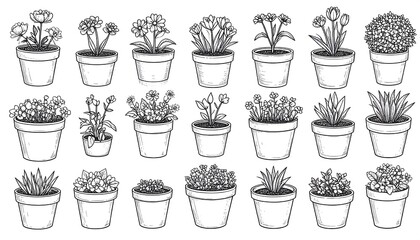 Line art illustration featuring twenty diverse potted plants