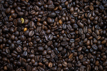 Colonial-style courtyard inside the Municipality of Chiclayo, Peru