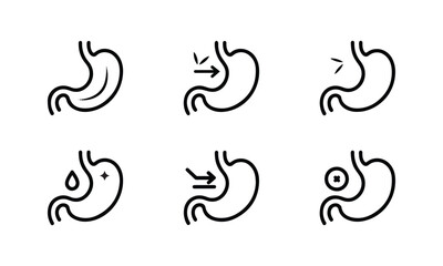 Stomach Icon Set – Medical Line Art Symbol