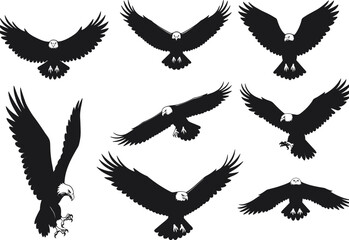 Eagle Silhouettes in Flight and Landing Poses with Spread Wings, Talons, Graceful Motion, and Powerful Bird of Prey Vector Illustration