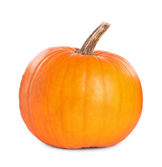 One whole ripe pumpkin isolated on white