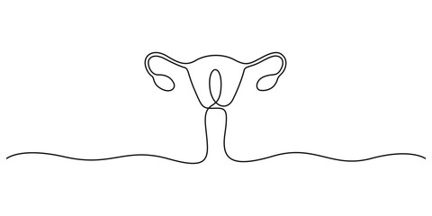 Continuous one line drawing of women's Uterus and Ovary. Single line art Female reproductive system. Vector illustration