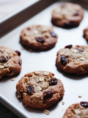 Fototapeta premium Freshly baked oatmeal raisin cookies on a baking sheet