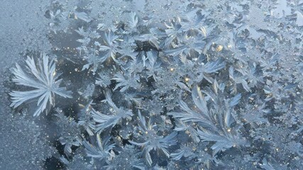 Close-up of frost-covered leaves with intricate ice crystals on cold winter surface - Powered by Adobe