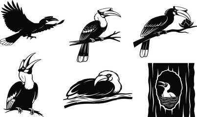 Hornbill bird vector set showing flight, nesting, feeding, perching, and resting poses in black and white wildlife illustration style © MdMeherul