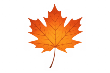 Orange maple leaf illustration showing autumn fall season colors with transparent background