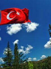 Turkish national flag waving proudly under clear blue sky with white clouds and pine trees, symbol...