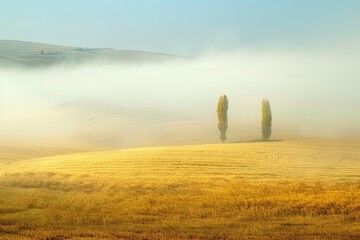 Trees stand in misty field as fog hugs hills. For travel/nature/landscape pics