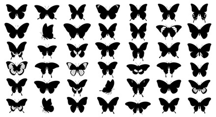 Fototapeta premium A captivating collection of butterfly silhouettes showcasing diverse wing shapes and flight patterns in a monochrome display.