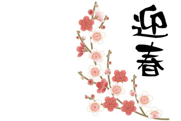 上品な梅の花と迎春の筆文字を組み合わせた和風デザイン｜正月　春　年賀　花　縁起物　ベクター素材　背景　装飾　和柄　祝い　季節のイラストレーション