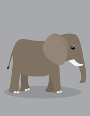 Fototapeta premium A vector art of an elephant. 