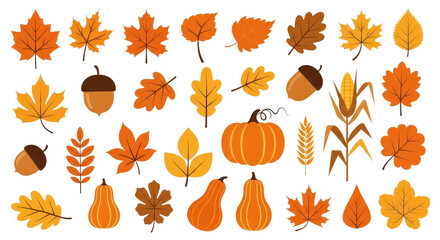 Collection Autumn Foliage Gourds Acorns Corn Fall Season Elements Transparent