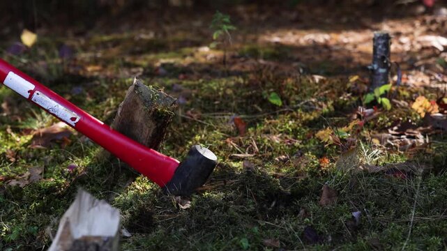 Splitting Wood With Red Axe In The Woods