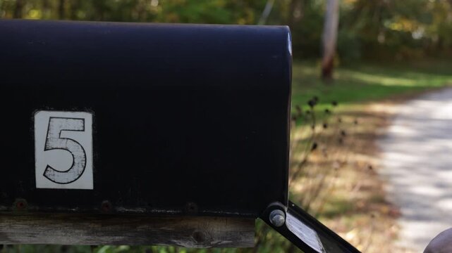 Female Checking Empty Rural Mailbox