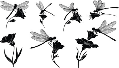 Seven Dragonfly Silhouettes Hovering and Perching on Flowers in Black and White Vector Style for Nature, Garden, Insect, and Art Design © MSTMUNMUN