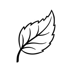 Autumn Leaf Outline Icon