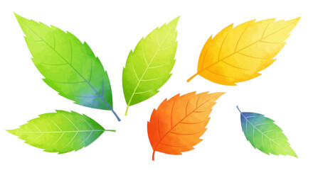 Obraz premium Vibrant Watercolor Autumn Leaves Collection Fall Foliage Green Yellow Orange